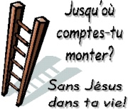 Comprendre Jean  14-26 (le Paraclet) 11935